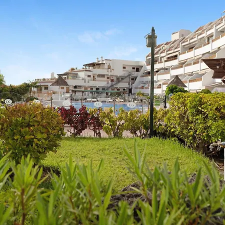 Geranios 304 * أذيخي